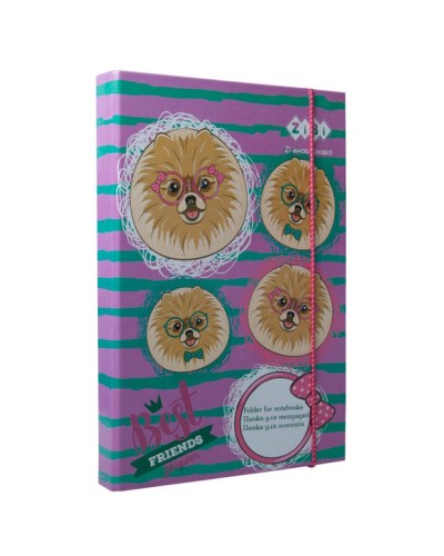 Папка для зошитів «OWL» В5+ картонна на гумках, TM ZiBi