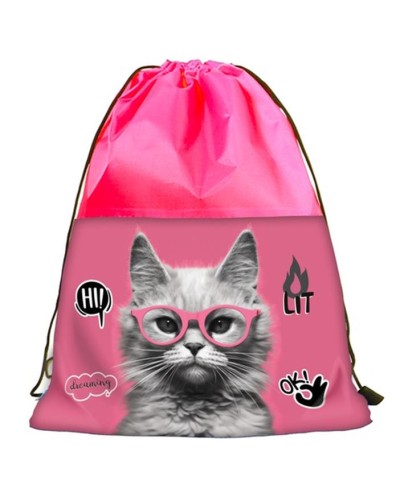 Сумка для взуття «Кіт в окулярах» з одностороннім друком, 46х32 см, ТМ Leader