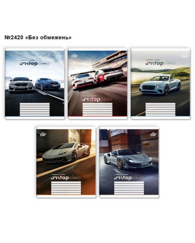 Зошит на 12 аркушів у клітинку «Без обмежень» №2420, ТМ Brisk