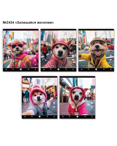 Зошит на 24 аркуші у клітинку «Залишайся веселим» №2434, ТМ Brisk