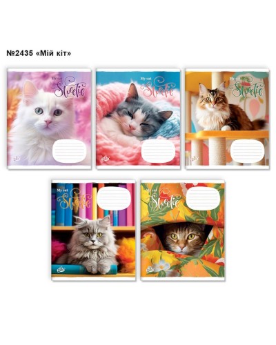 Зошит на 24 аркуші у клітинку «Мiй кiт» №2435, ТМ Brisk