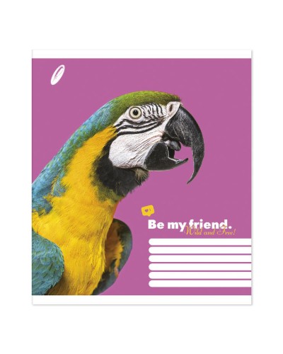 Зошит на 96 аркушів у клітинку «Мiкс дiвчинки» №1005, Пір'їнка