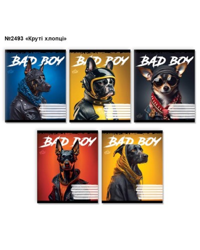 Зошит на 18 аркушів у клітинку «Круті хлопці» №2493, ТМ Brisk