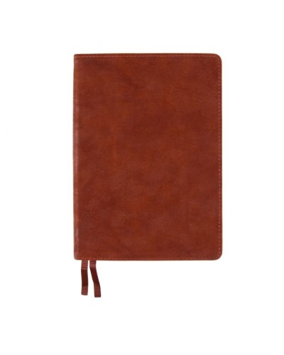 Щоденник датований «Case» А5 на 368 аркушів з обкладинкою зі шкірзаму, темно-коричневий, ТМ Leo Planner