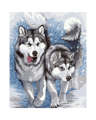 Картина за номерами «Хаскі» 40х50 см, SANTI