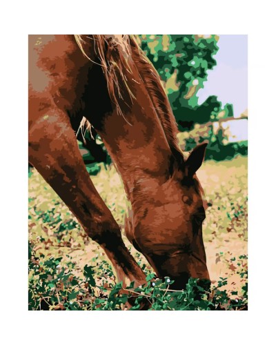 Картина за номерами «Кінь у лузі» 40х50 см, ТМ Strateg