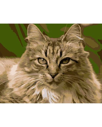 Картина за номерами «Горда кішка» 40х50 см, ТМ Strateg