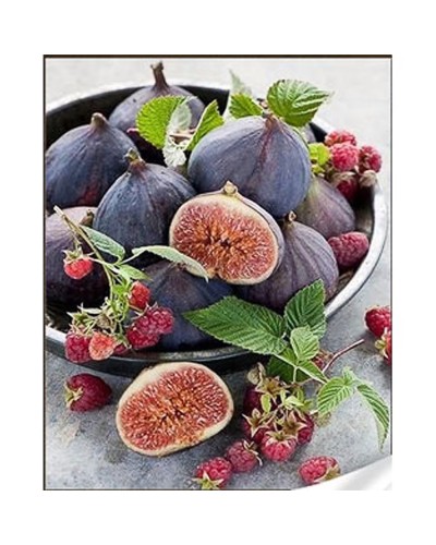 Набір з алмазною мозаїкою «Інжир із малиною» 30х40 см, ТМ Strateg