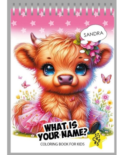 Розмальовка на 12 аркушів з наліпками на спіралі 10,5х15 см, ТМ Мандарин