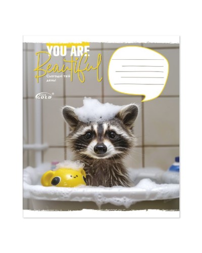 Зошит на 18 аркушів у клітинку «Мікс Дівчата», №3404, ТМ Gold Brisk