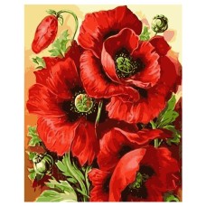 Картина за номерами «Маки» 40х50 см, ТМ Strateg