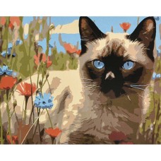 Картина за номерами «Тиша та краса на лузі» 40х50 см, ТМ Strateg