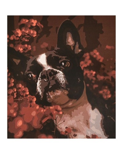 Картина за номерами «Бостон-тер`єр» 40х50 см, ТМ Strateg