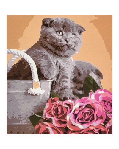 Картина за номерами «Сірий пухнастик серед квітів» 40х50 см, ТМ Strateg