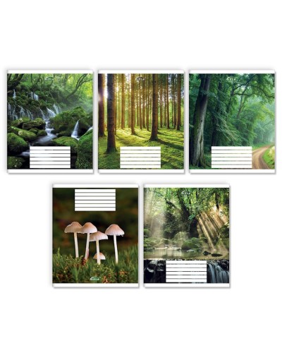 Зошит на 24 аркуші у клітинку «Зачарований ліс», №3524, ТМ Gold Brisk