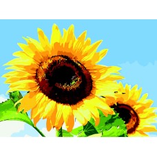 Картина за номерами «Соняхи в ясну погоду», 40х50, ТМ ZiBi