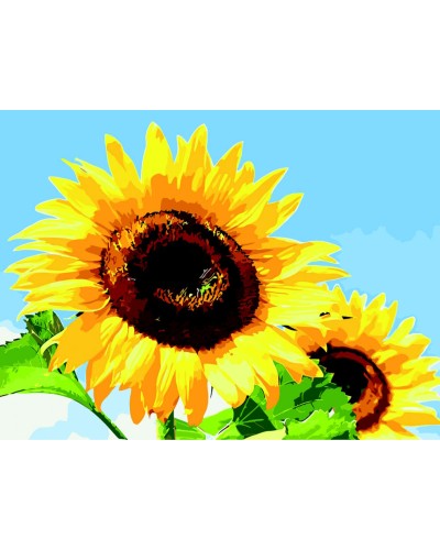 Картина за номерами «Соняхи в ясну погоду», 40х50, ТМ ZiBi