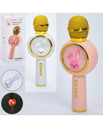 Мікрофон 23 см на акумуляторі з USB та світлом, в асортименті, у коробці 9,5х5,5х24 см