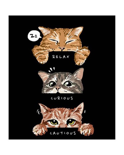 Картина за номерами «Трійка котів» 30х40 см, ТМ Strateg