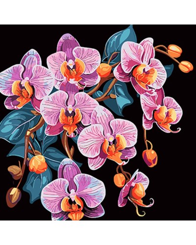 Картина за номерами «Орхідея у вишуканості» 40х40 см, ТМ Strateg