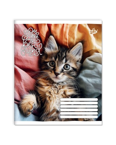 Зошит на 18 аркушів у лінію «Мяу» №2560, ТМ Brisk