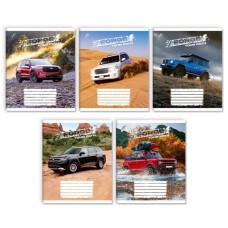 Зошит на 18 аркушів у клітинку «Торуй свій шлях», № 0099, Пір'їнка