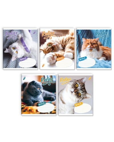 Зошит на 18 аркушів у клітинку «Бути котом», № 0128, Пір'їнка