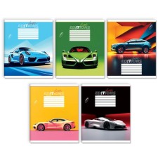 Зошит на 24 аркуші у клітинку «Швидкість», № 0043, Пір'їнка