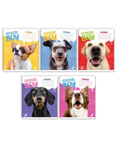 Зошит на 24 аркуші у лінію «Гарний хлопчик», № 0158, Пір'їнка