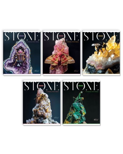 Зошит на 96 аркушів у клітинку «Коштовний камінь», №3543, ТМ Gold Brisk