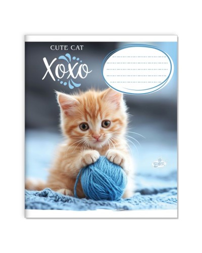 Зошит на 12 аркушів у клітинку «Милий котик» №2527, ТМ Brisk