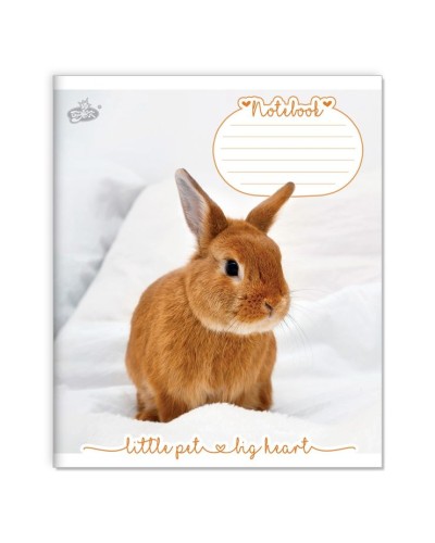 Зошит на 12 аркушів у клітинку «Маленькі улюбленці» №2529, ТМ Brisk