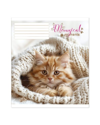 Зошит на 12 аркушів у лінію «Маленькі лапки» №2543, ТМ Brisk