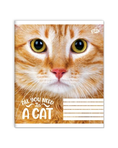 Зошит на 36 аркушів у клітинку «Погляд кота» №2585, ТМ Brisk