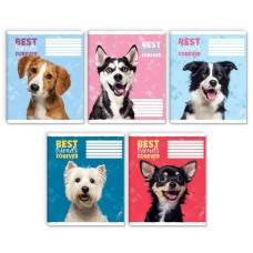 Зошит на 12 аркушів у лінію «Мої друзі», № 0062, Пір'їнка