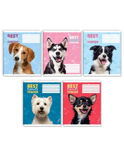 Зошит на 12 аркушів у лінію «Мої друзі», № 0062, Пір'їнка