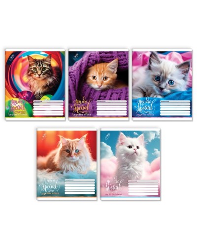 Зошит на 24 аркуші у клітинку «Ти особливий», № 0039, Пір'їнка