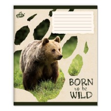 Зошит на 24 аркуші у клітинку «Звірині сліди» №2572, ТМ Brisk