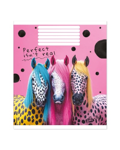 Зошит на 48 аркушів у клітинку «Барвисті образи» №2602, ТМ Brisk