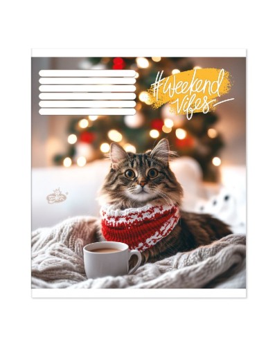 Зошит на 60 аркушів у клітинку «Муркотливий комфорт», №2621, ТМ Brisk