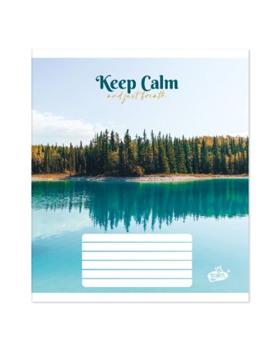 Зошит на 60 аркушів у клітинку «Спокій», №2623, ТМ Brisk