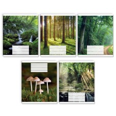 Зошит на 24 аркуші у лінію «Зачарований ліс», №3524, ТМ Gold Brisk