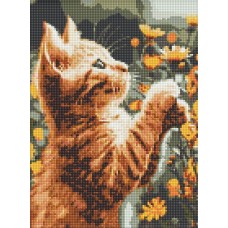 Набір з алмазною мозаїкою «Рудий пухнастик» 30х40 см, ТМ Ідейка