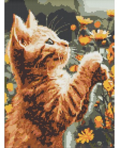 Набір з алмазною мозаїкою «Рудий пухнастик» 30х40 см, ТМ Ідейка