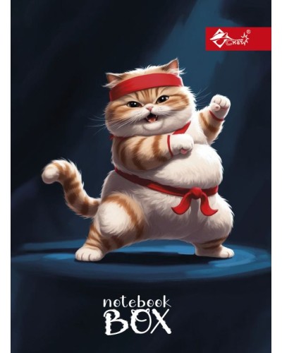 Папка для зошитів «Кунг-фу кіт » В5 картонна на гумці, ТМ Скат