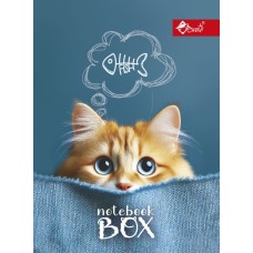 Папка для зошитів «Котяча мрія» В5 картонна на гумці, ТМ Скат