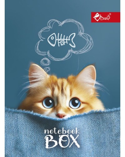 Папка для зошитів «Котяча мрія» В5 картонна на гумці, ТМ Скат