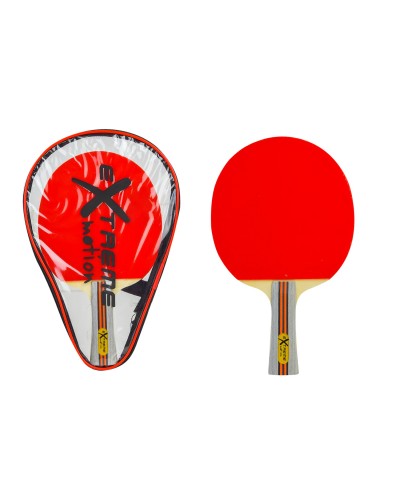 Набір для настільного тенісу: 1 ракетка, у чохлі