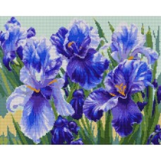 Набір з алмазною мозаїкою «Блакитні іриси» 40х50 см, ТМ SANTI