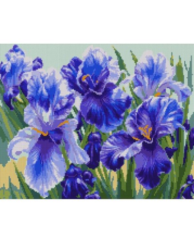 Набір з алмазною мозаїкою «Блакитні іриси» 40х50 см, ТМ SANTI